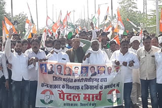 Congress took out march in Chittorgarh, चित्तौड़गढ़ में कांग्रेस ने निकाली पैदल मार्च