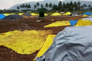 Paddy bundle damage, Perambalur, Heavy rain in perambalur, Farmer's demand, Paddy procurement centre,