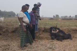 a hunter killed bear in dhenkanal