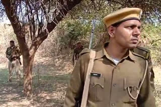 मुकेश ठाकुर गैंग धौलपुर पुलिस, राजस्थान में डकैत, Dacoit Mukesh Thakur Gang, Mukesh Thakur Gang Dholpur Police, Dacoit in Rajasthan