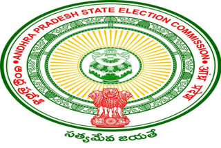 many complaints to sec on panchayati elections