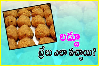 tirumala laddu distributing