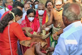 Puducherry Governor Tamilisai Soundarajan worship at Tirukkadaiyur Abirami Temple