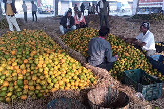 Nagpur: Double whammy of Covid and untimely rain jolts fruit sellers