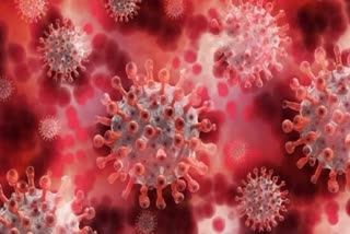 more than 24.66 million deaths worldwide from coronavirus