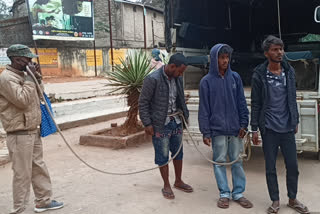 Three accused jailed for gang-rape of elderly woman In gumla