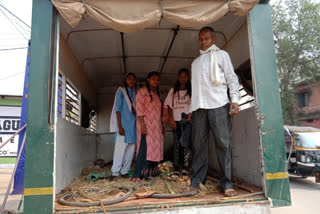 Students going to school in Gajraj vehicle due to elephants panic in Dhamtari