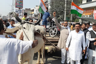 bhiwani congress party workers protest against agriculture laws