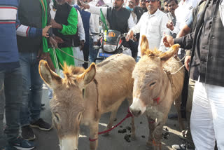 muzaffarpur RJD protest