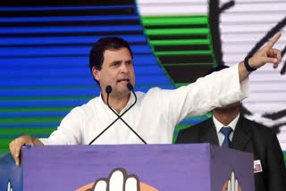 Rahul to campaign in Kerala, Tamil Nadu this week