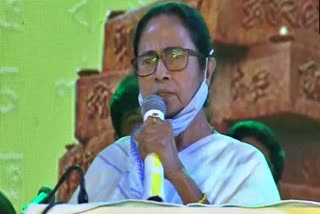 mamata