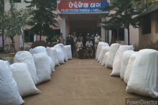 heavy amount of ganja seize in phulbani
