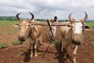 NABARD advised Jharkhand government for development of farmers in ranchi