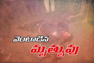 car bike accident near hanmakonda in warangal urban and bekary owner died