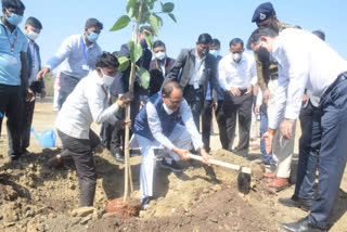 CM did plantation