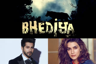 Kriti Sanon Varun Dhawan starrer Bhediya to release on 2022 April 14  വരുണ്‍-കൃതി സനോണ്‍ ഹൊറര്‍ കോമഡി 'ബേദിയ'  വരുണ്‍-കൃതി സനോണ്‍  അമര്‍ കൗശിക് സിനിമകള്‍  അമര്‍-കൗശിക് വാര്‍ത്തകള്‍  Kriti Sanon Varun Dhawan starrer Bhediya  Kriti Sanon Varun Dhawan starrer Bhediya news