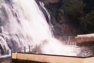 Courtalam  குற்றால அருவிகளில் சுற்றுலா பயணிகள் குளிக்க தடை  Courtallam Falls  Tourists are not allowed to bathe in Courtallam Falls  Bathing in Courtallam Falls is prohibited