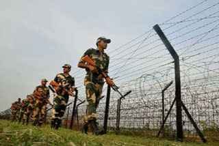 Cattle smugglers fire at BSF on Indo-Bangladesh border