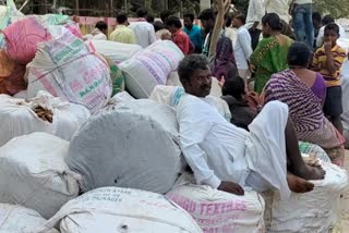 Fall of tamarind prices in market