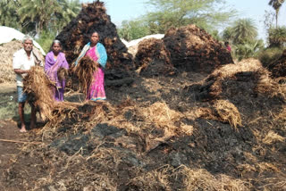 paddy piles burn in a fire incident