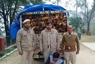 Forest Department team bilaspur news, वन विभाग टीम बिलासपुर न्यूज