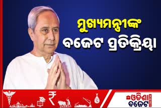 'ନୂତନ ଓଡ଼ିଶା ସଶକ୍ତ ଓଡିଶା ବଜେଟ'