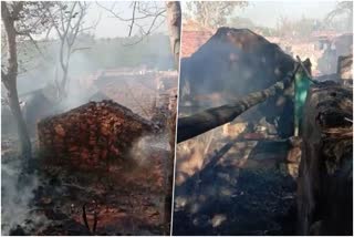 houses burnt in Dumariya village, fire incident in Bharatpur