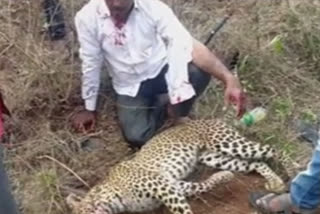 Man kills Cheetah to save his life