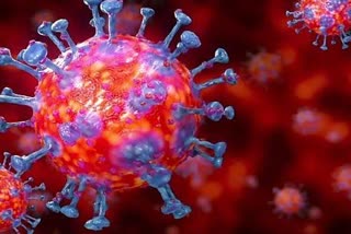 ഇന്ത്യ  7k coronavirus mutations in India  ദേശിയ വാർത്ത  national news  7,000 ത്തിലധികം കൊറോണ വൈറസ് വകഭേധങ്ങൾ  സി‌സി‌എം‌ബി