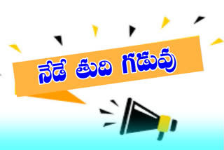 mlc eenadu