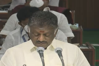 tn assembly interim budget 2021 LIVE page