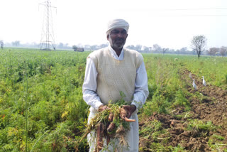 gohana farmers are not getting the price of vegetables