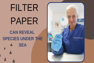 Filter paper, eDNA