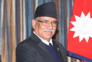 Supreme Court will rule in favour of HoR reinstatement: Dahal