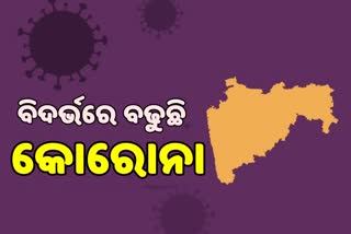 ମହାରାଷ୍ଟ୍ରରେ ମହାମାରୀ ଆତଙ୍କ, ବିଦର୍ଭ ପାଲଟିଛି କୋରୋନାର କେନ୍ଦ୍ର