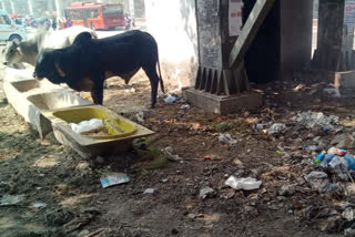 Litter bin at labor square in Nangloi delhi