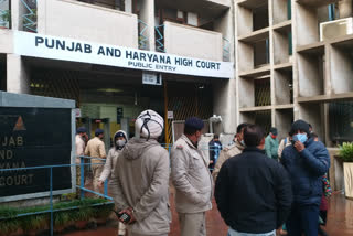 corona virus cases increase chandigarh high court