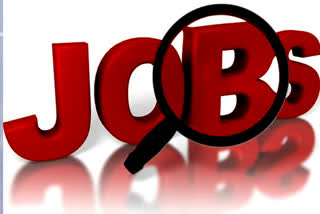 Jobs in IT sector