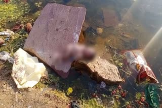 धौलपुर पार्वती नदी में मिला नवजात का शव, Newborn body found in Dholpur Parvati river