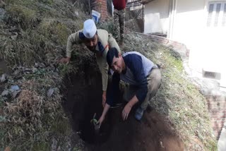 mussoorie saplings plantation