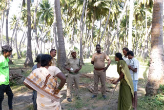 திருப்பத்தூர் வானியம்பாடி