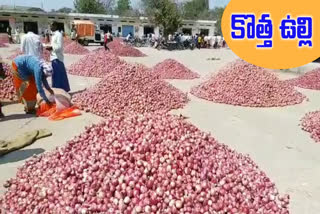 New onion for Devarakadra market