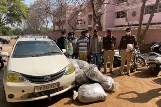 two drug smugglers arrested fatehabad