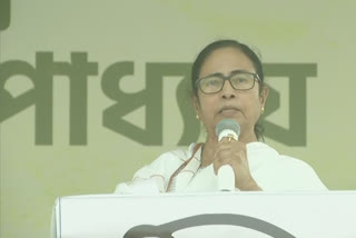 Mamata Banerjee