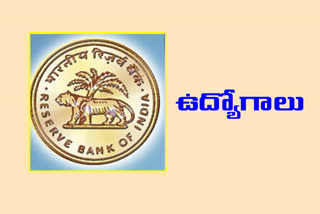 rbi notification for office attendants in all over india