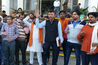 Demonstration of members of Gau Raksha Dal regarding the plight of stray cow dynasties in panipat