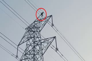 disturbed-by-excise-department-recovery-a-person-climbed-an-electric-tower-in-korba
