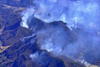 Forest fire in japan