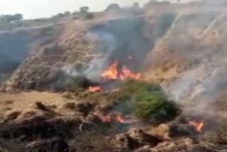 A fierce fire in the Chambal forest
