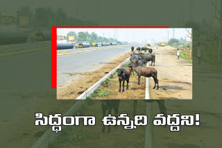 govt-changes-decison-on-amaravati-seed-access-road